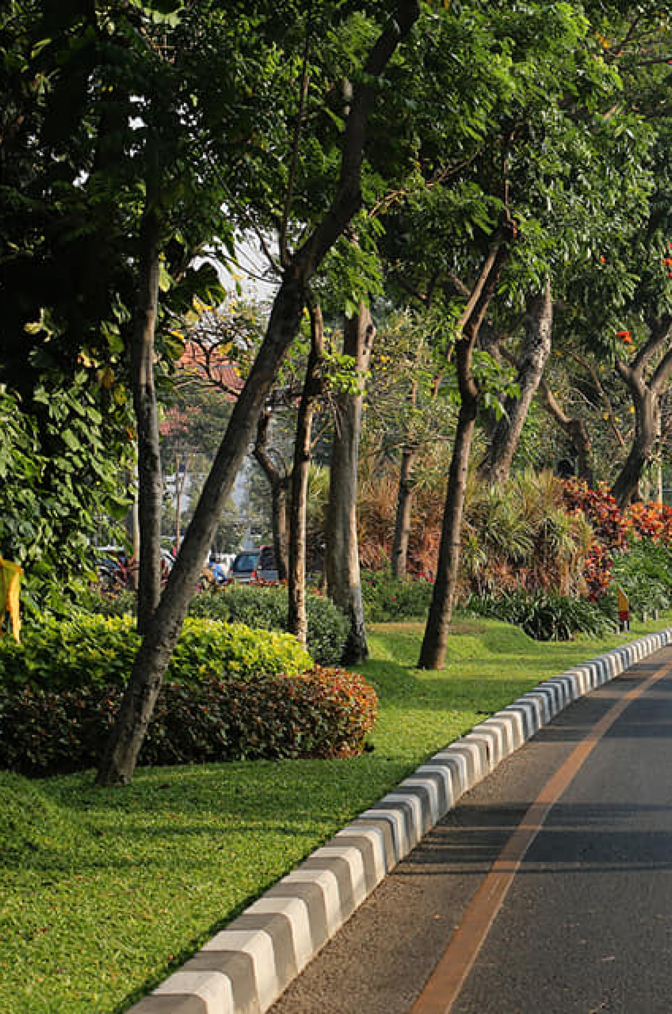 Kelurahan Kebon Baru